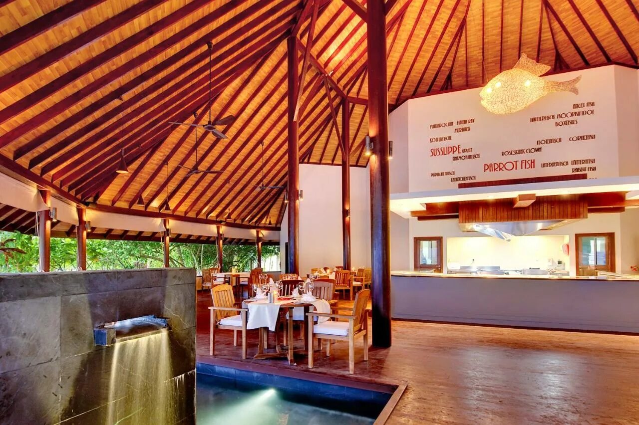 Робинсон мальдивы отель. Гаафу алиф мальдивы. Robinson club 4. Robinson club maldives 5 мальдивы. Robinson club maldives 5 мальдивы фото.