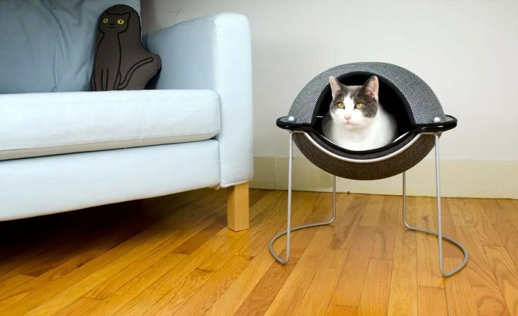 Как приучить котенка к лежанке