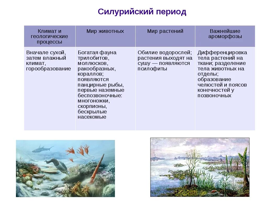 Палеозой силур. Палеозойская Эра период Силур. Палеозойская Эра силурийский период Продолжительность. Палеозойская Эра Силур растительный мир. Палеозой Силур таблица.