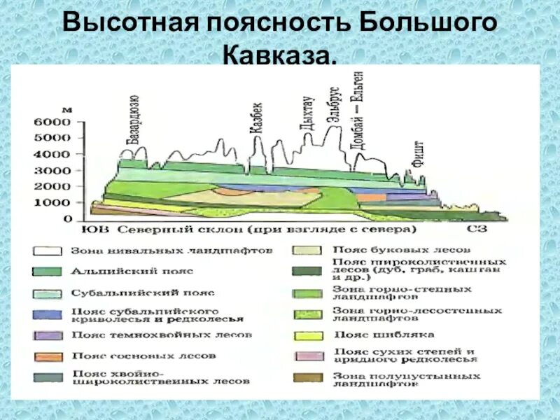 Сколько высотных поясов в горах. Высотная поясность Северного Кавказа. Высотная поясность Западного Кавказа. Высотная поясность Кавказа география. Высотная поясность большого Кавказа.