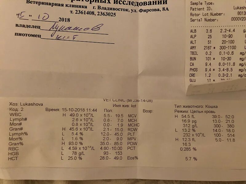 Leu в анализе мочи что это. Лейкоциты эстераза норма у детей. Лейкоцитарная эстераза в анализе мочи женщины,что это. Общий анализ мочи показатели нормы. Показатели общего анализа мочи в норме у взрослых в таблице женщин.