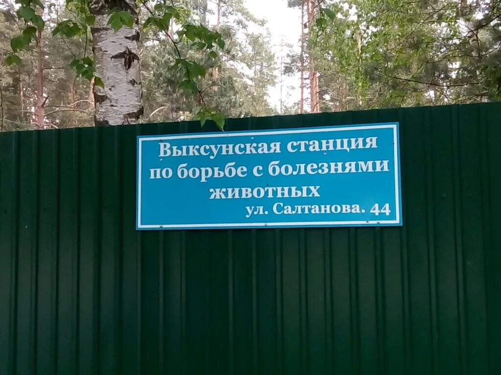 ветклиника айболит. ветеринарная клиника выкса айболит. ветлечебница выкса шлаковая. выкса шлаковая 33. ветеринарная клиника айболит, самара.