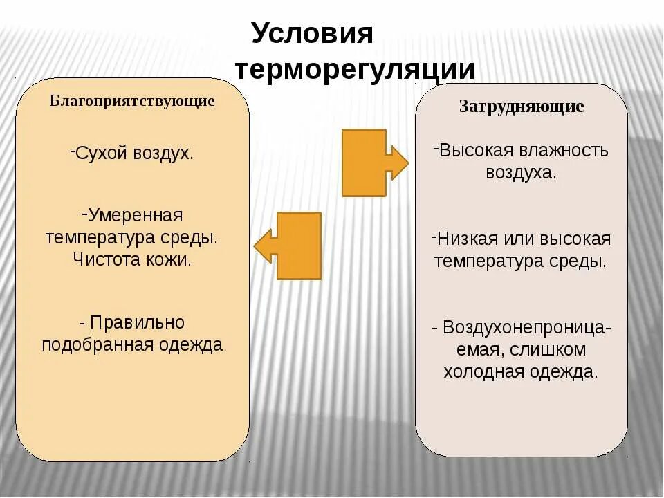 Роль кожи в терморегуляции, закаливание организма. Роль кожи в терморегуляции. Терморегуляция организма закаливание таблица. Кожа роль кожи в терморегуляции. Роль кожи в терморегуляции организма 8 класс