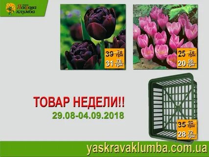 Цветник интернет магазин каталог