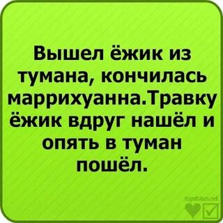 Ежик по травке бежит стих