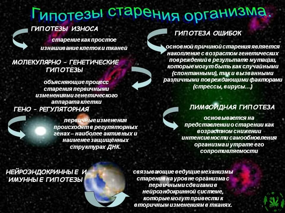 Основные гипотезы теории. Основные гипотезы старения кратко. Гипотезы старения организма. Признаки старения.. Современные теории старения. Современные гипотезы старения.