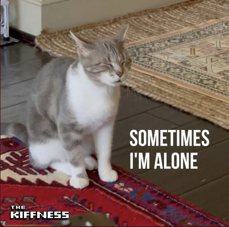 Sometimes i did not. The kiffness sometimes i&#039;m alone. the kiffness. кот sometimes i&#039;m alone. кот sometimes i&#039;m alone нарисованный.