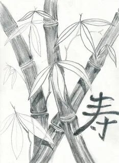 Бамбуковые рисунки