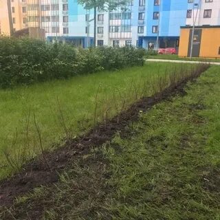 Мало рощ