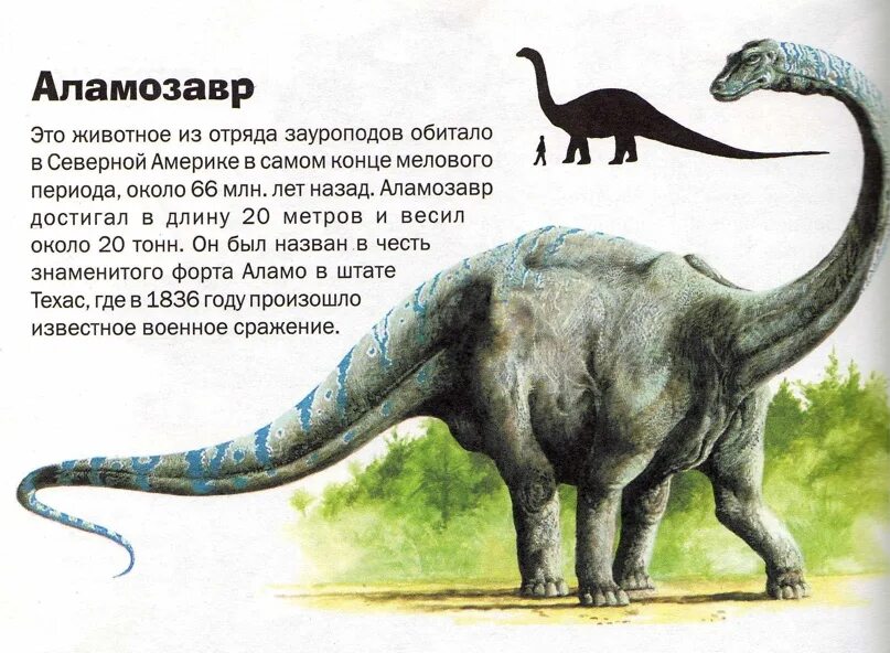 Опиши динозавра. Описание динозавров. Динозавры картинки с описанием. Динозавры описание для детей. Динозавры с описанием для дошкольников.