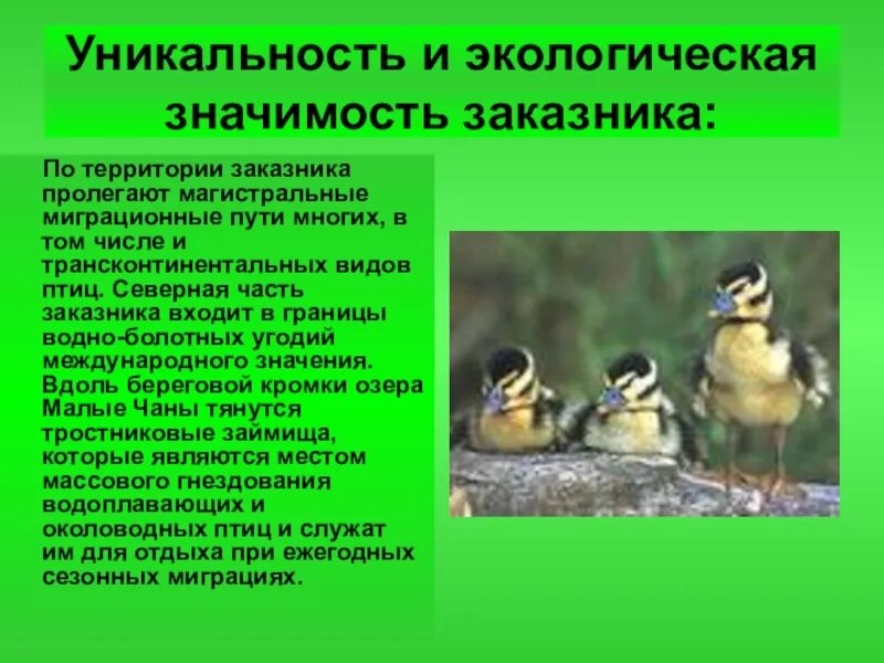 Экологическое значение территории