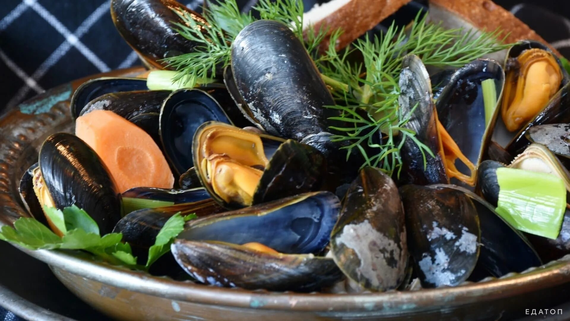 Можно ли мидии в пост великий. Азовские мидии. Мидии Mussels moules mejillones. Мидии рапаны. Мидии и устрицы.