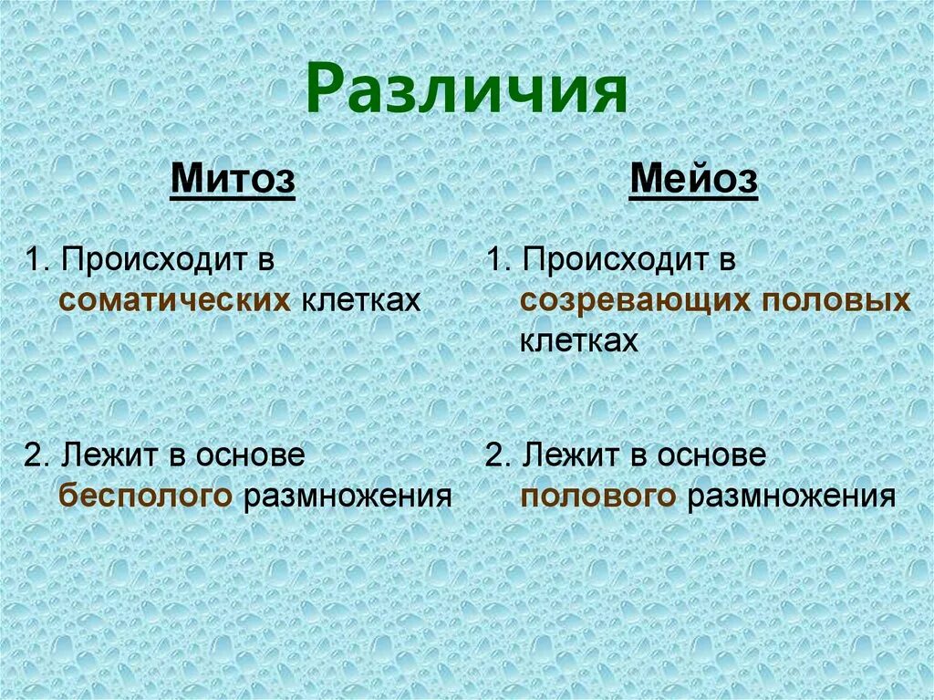 Отличие митоза от мейоза. Отличие мейоза от митоза кратко. основные отличия мейоза от митоза. сходства и отличия митоза и мейоза таблица. черты сходства митоза и мейоза.