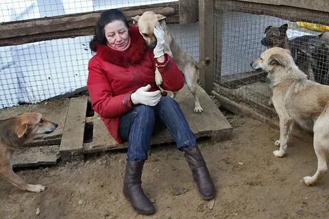 Когда отдаешь вещи в приют как называется