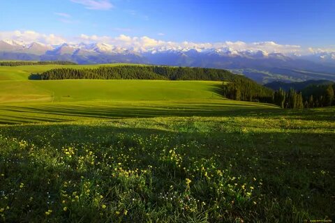 Равнинный ландшафт
