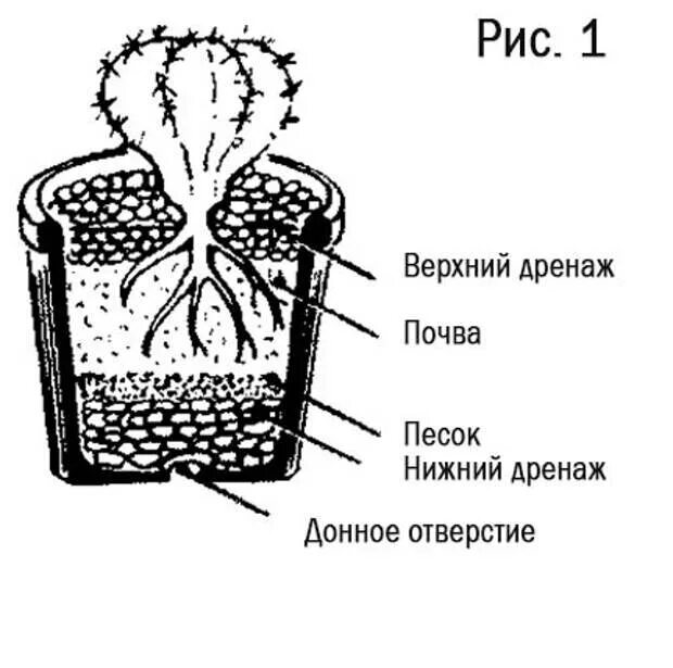 Для дренажа цветов что использовать. Дренаж для комнатных растений. дренажный слой в горшке для цветов. дренаж для грунта в горшке. слой дренажа в горшке что это.