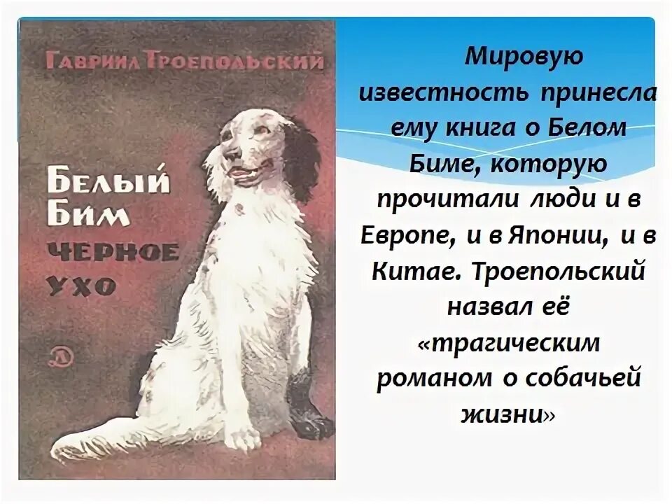 Содержание по главам белый бим черное ухо. Краткий пересказ белый бим черное ухо. краткий сюжет белый бим черное ухо. белый бим черное ухо читательский дневник.