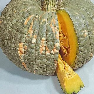 Самая вкусная тыква