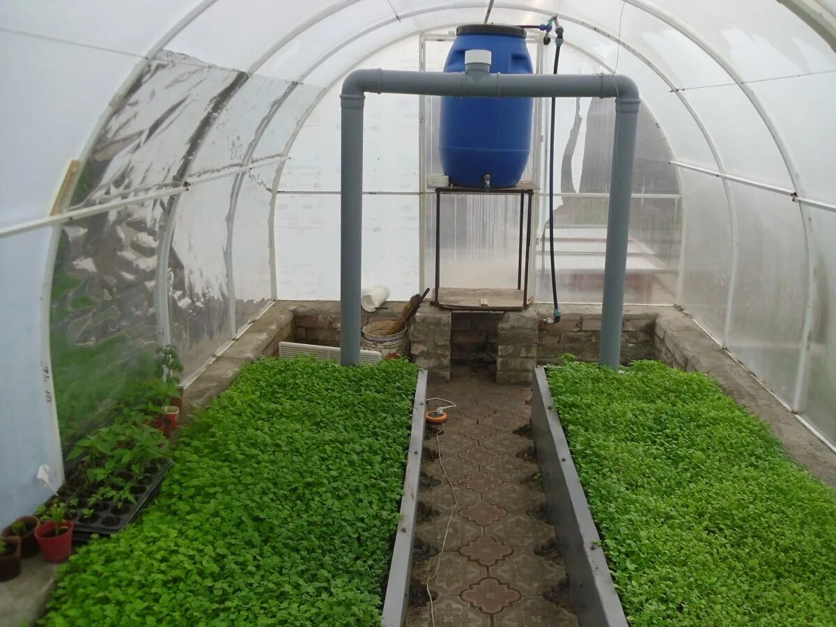 Подготовка теплицы весной. Теплица из поликарбоната после зимы. Подготовка теплицы. Подготовка почвы в теплице. Высокие грядки с парником.