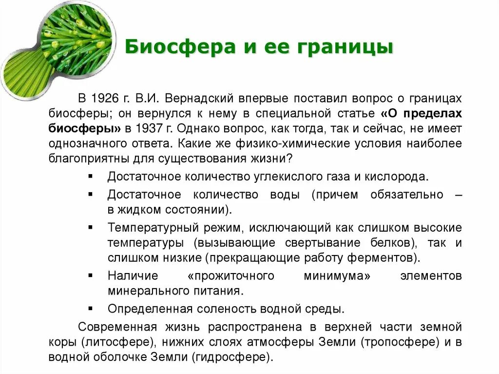 Значение биосферы. Вернадский Биосфера 1926. Биосфера Глобальная экосистема. Биосфера 11 класс биология презентация.