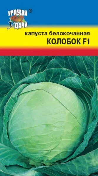 Капуста белокочанная Колобок ф 1. Капуста Колобок f1 0,1г (уу). Капуста Колобок ранняя. Капуста подарок. Капуста подарок отзывы