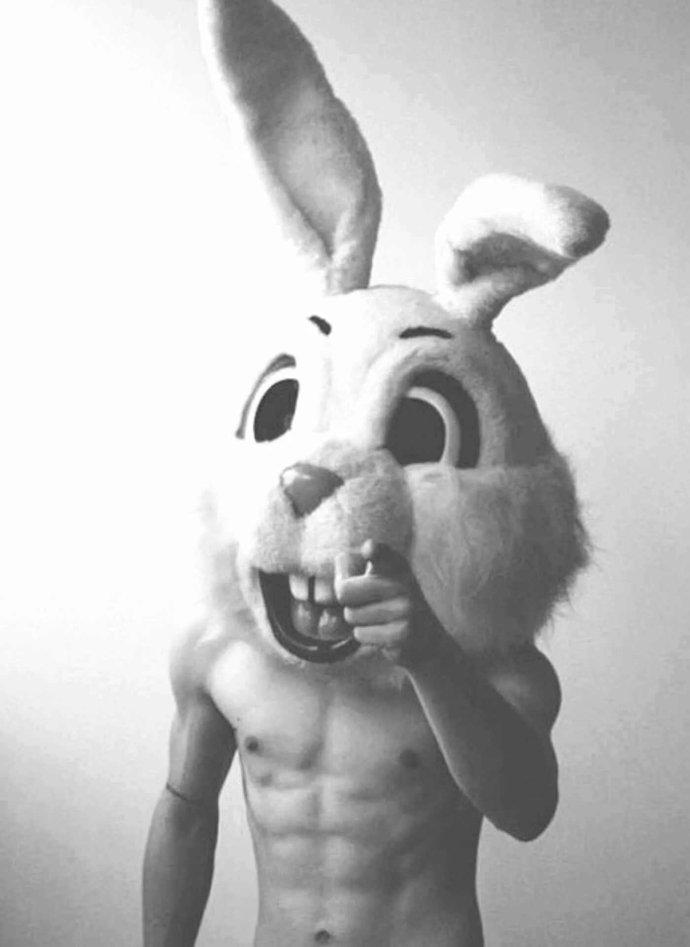 Titan bunny man. Смешной заяц. Парень в маске зайца. Девушка с головой зайца. Крутой заяц.