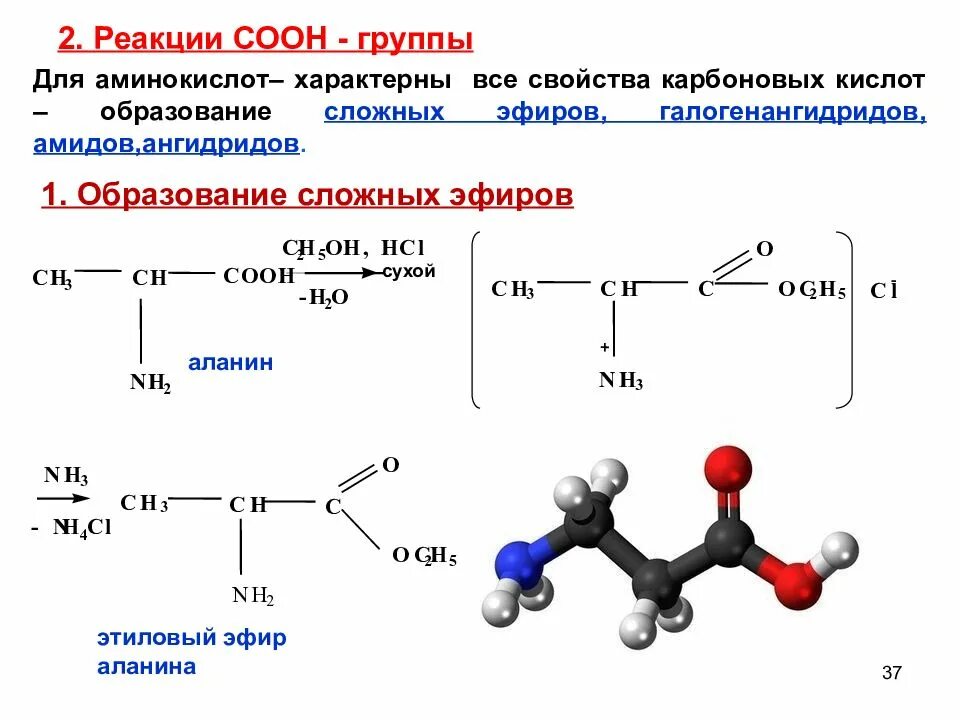 Аминокислота полипептид реакция. Реакции с аминокислотами простые. Реакции характерные для аминокислот. Взаимодействие аминокислот с hno2. Аланин бензол