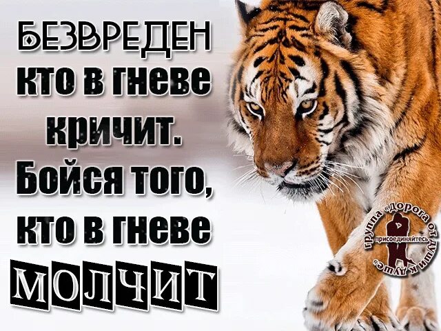 А4 кто закричит. Бойся гнева терпеливого человека. Бойся гнев Терпилового человека. Не бойся того кто в гневе кричит а бойся. Цитаты бойтесь гнева терпеливых.