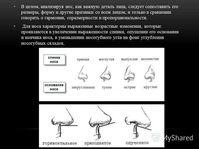 Рост носа в год. Различные формы носа. Типы формы носа. Виды форм Носов. Нос форма носа.