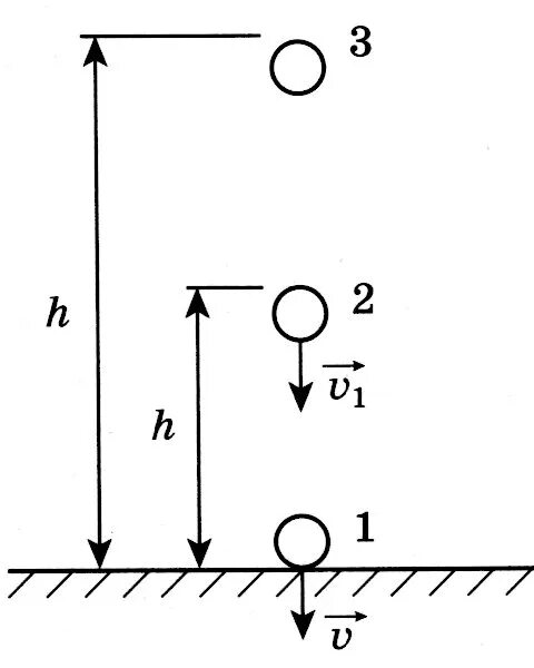 Шар падает с некоторой. Падение тела. Свободное падение тел. Тело падает без начальной скорости. Падающее тело.