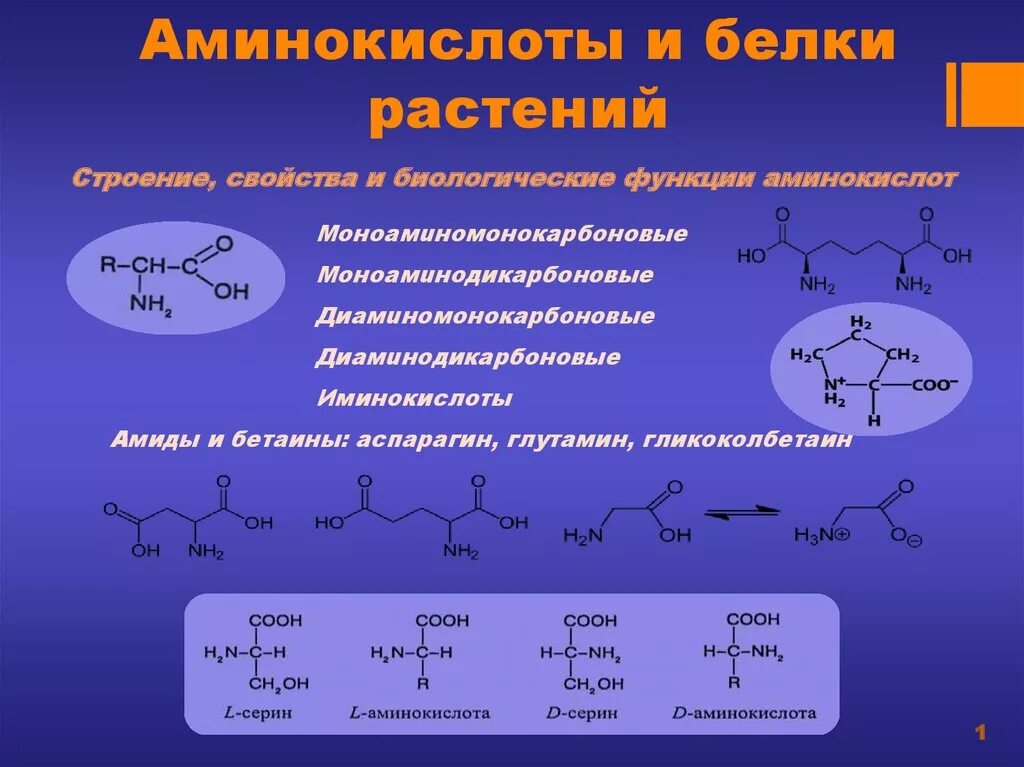 Белок из аминокислот. Строение белков и аминокислот. Аминокислоты образующие белки. Аминокислоты их строение. Протеиногенные аминокислоты.