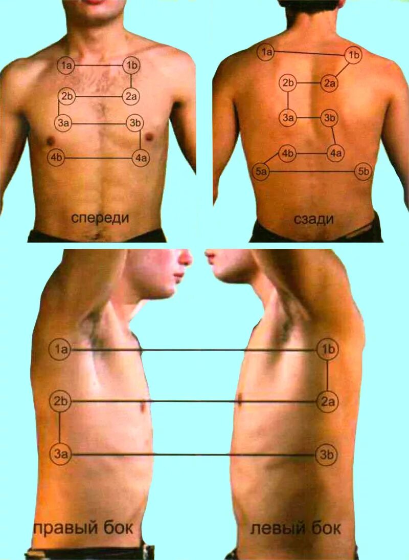пальпация перкуссия аускультация легких пропедевтика. аускультации грудной клетки методика. аускультация пальпация. методика перкуссии грудной клетки. пальпация грудной клетки пропедевтика алгоритм.