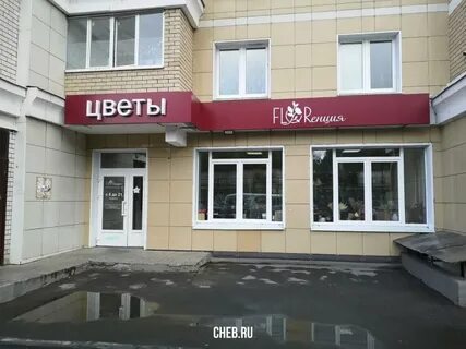 Цветы чебоксары сзр
