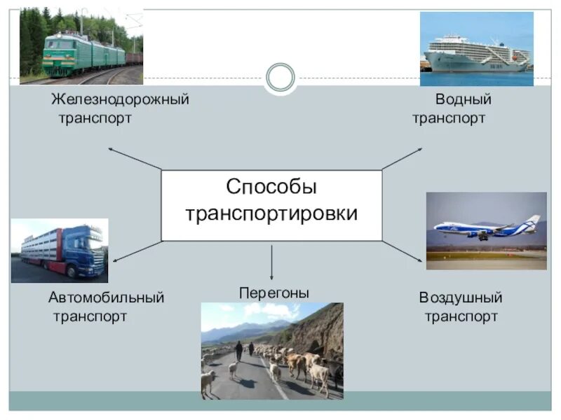 Виды и способы транспортировки. Способы перевозки грузов. Способы транспортировки грузов. Разновидности транспортировки. Основные виды перевозки