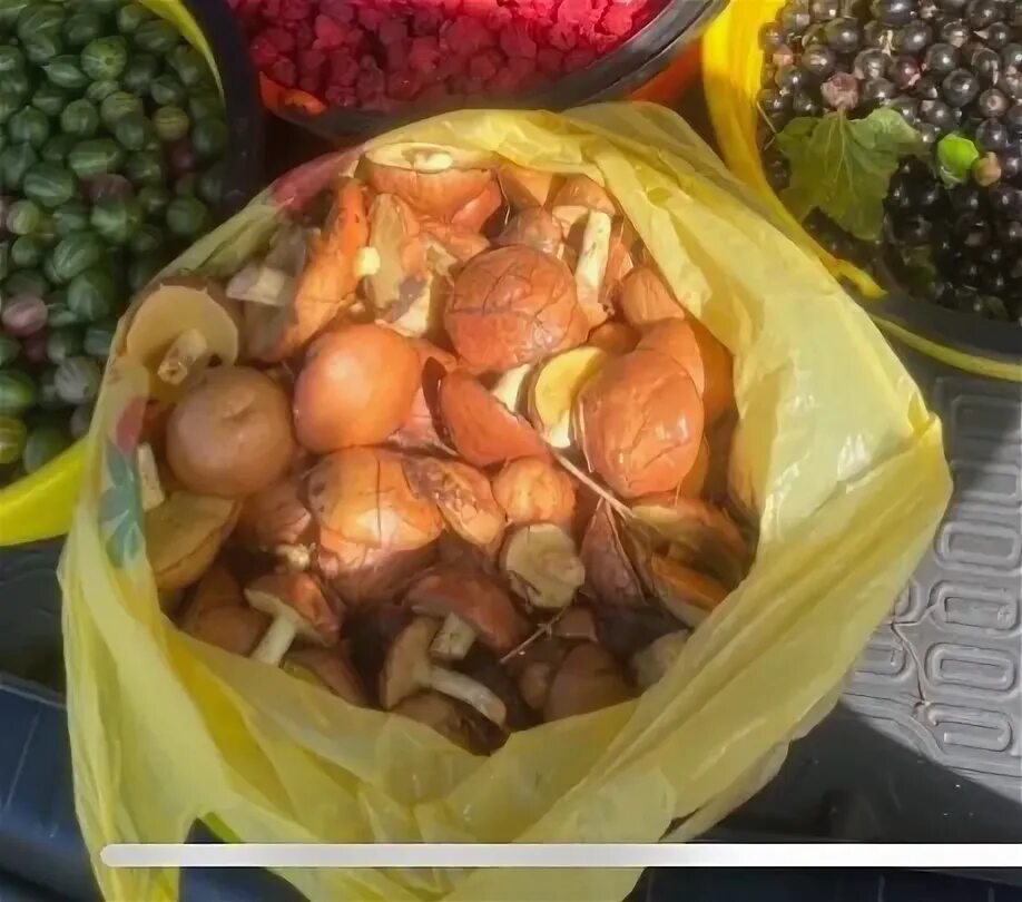 Жареные белые грибы с луком. Польский белый гриб. Фрукты в пакете. Грибы в ящиках. Отдам грибы.
