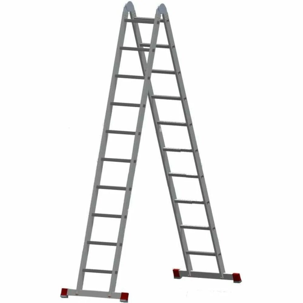 Ladder 10