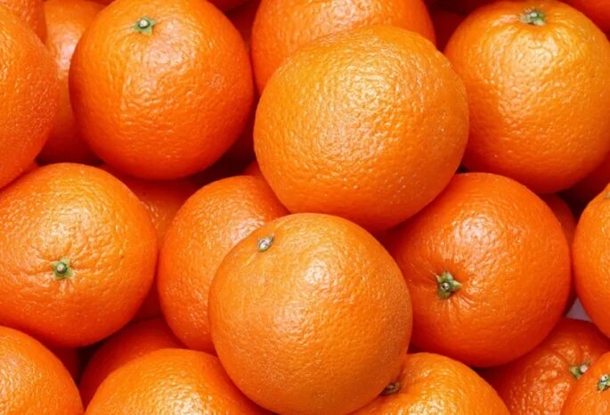 Мандарин сорт нова. Мандарин сладкий сорт. Самые большие мандарины. Апельсин Мем. Мандарины без косточек.