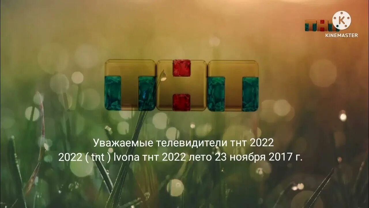 Тнт программа 2025 год. Тнт 2025 лето. тнт заставка 2025. заставка тнт 2015 лето. заставки тнт (лето 2011).