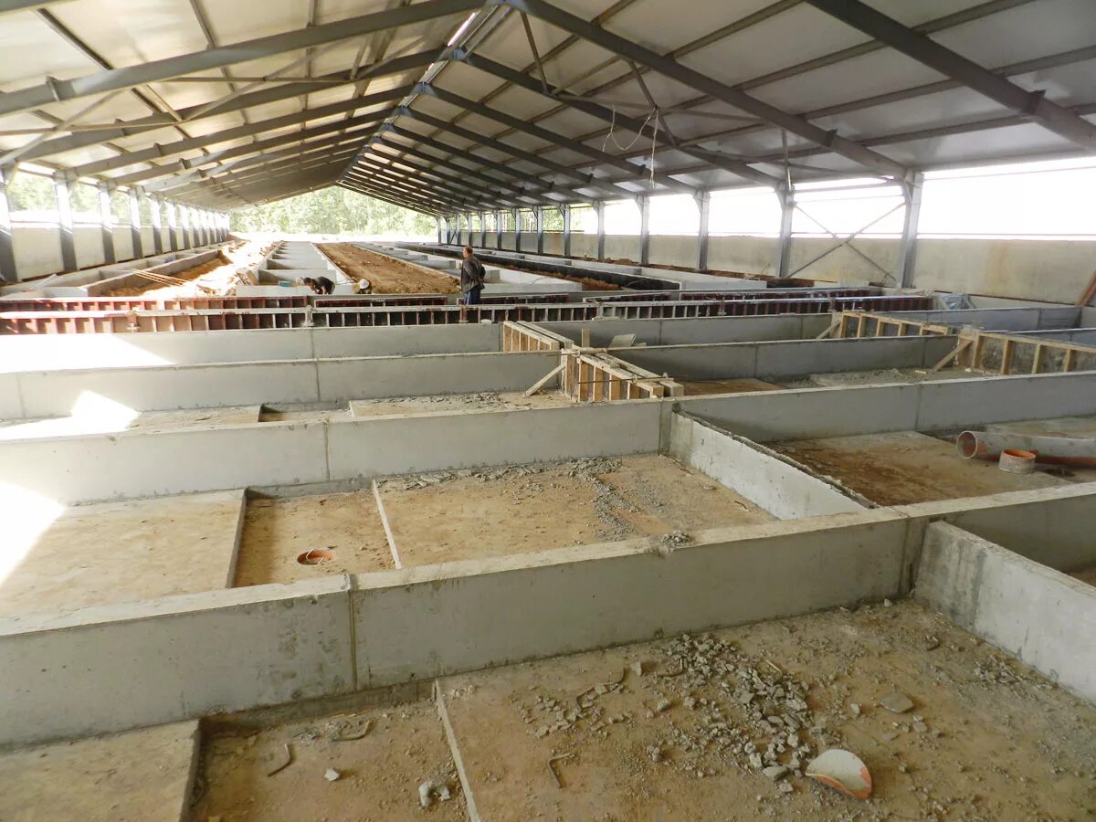 Свинарник новотент. Свинарник на 30 голов. Строю свинарник. Каркасный свинарник. Свинарник на 30 голов.