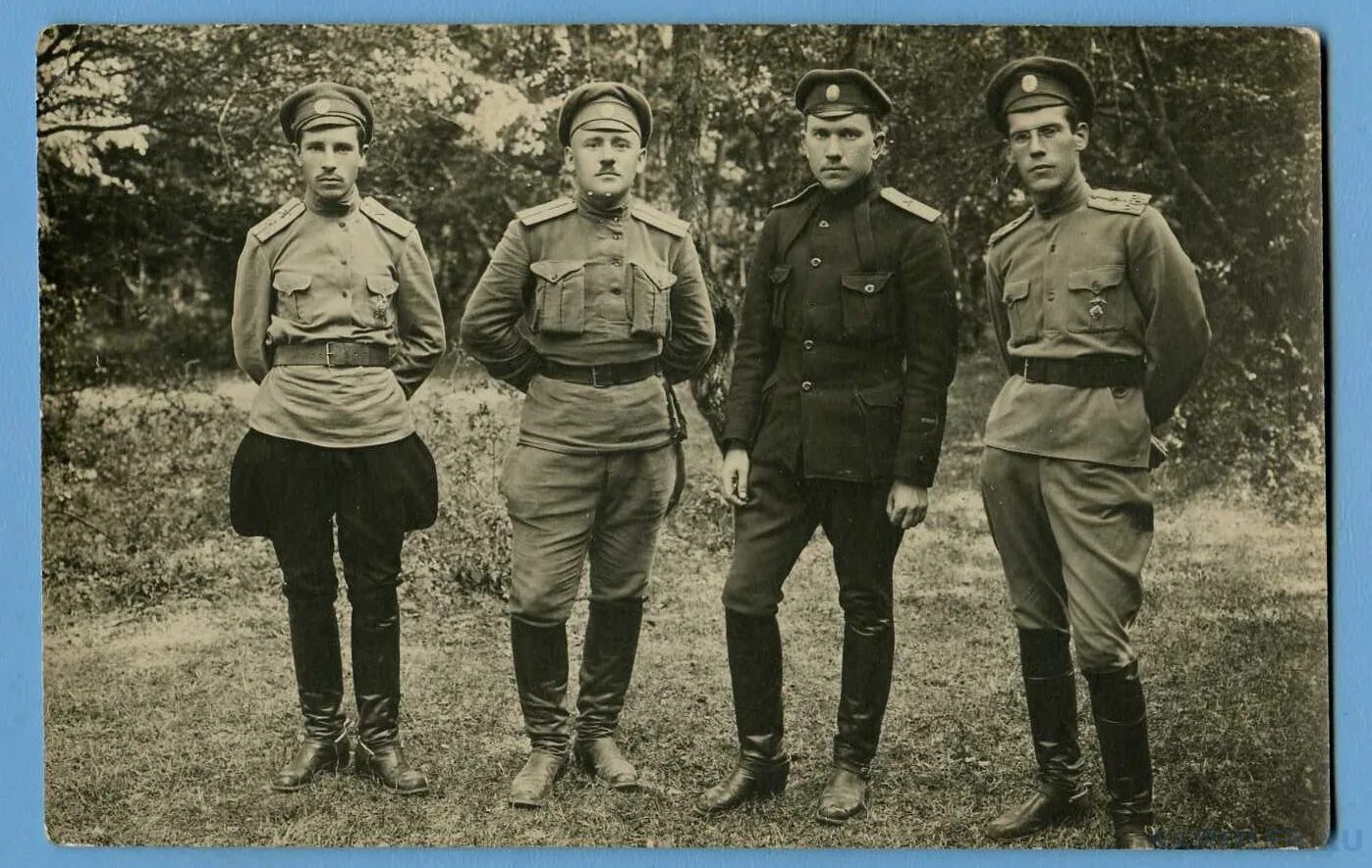 Полков риа. 291-й пехотный трубчевский полк. 196 инсарский пехотный полк. офицер риа. царский офицер.