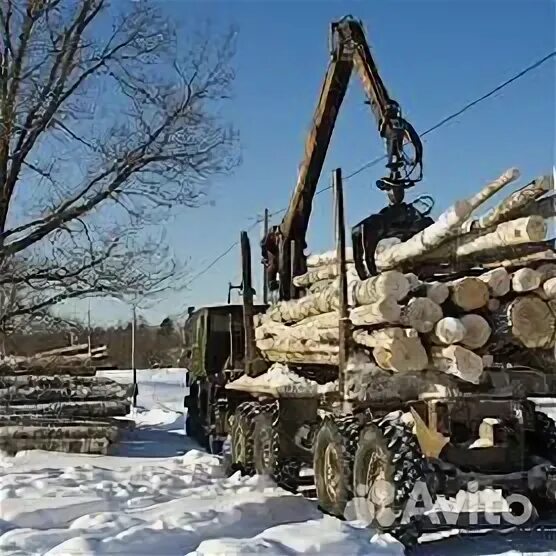 Лесовоз т-140. Лесовоз с березой. Лесовоз дров. Дрова березовые лесовоз.