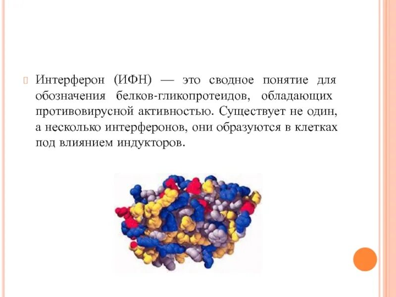 Основной функцией интерферонов является