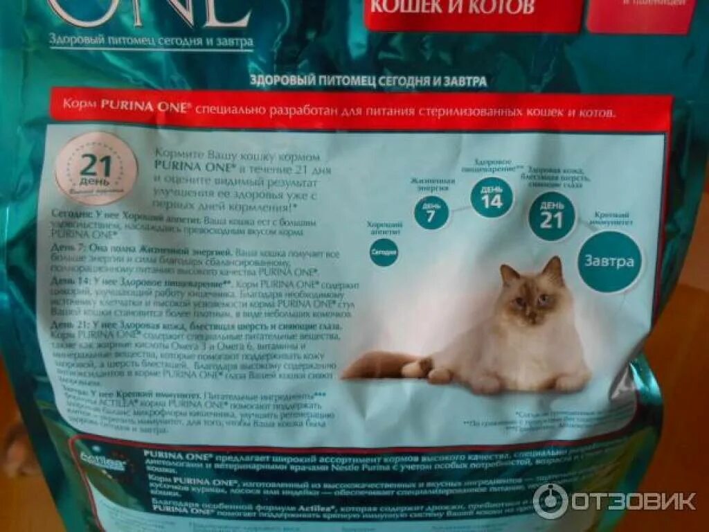 Можно давать стерилизованной кошке обычный корм. Корм для стерилизованных кошек. Сухой корм для стерилизованных котов премиум класса. Еда для стерилизованных кошек. Корм для стерилизованных кошек название.