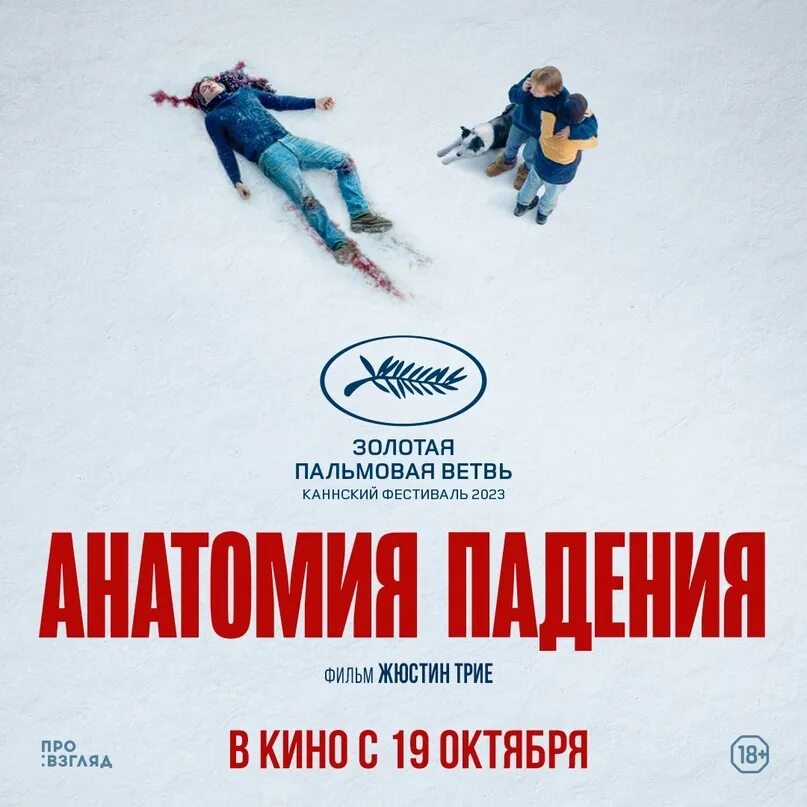 Анатомия падения чем закончился. Анатомия падения. анатомия падения афиша.