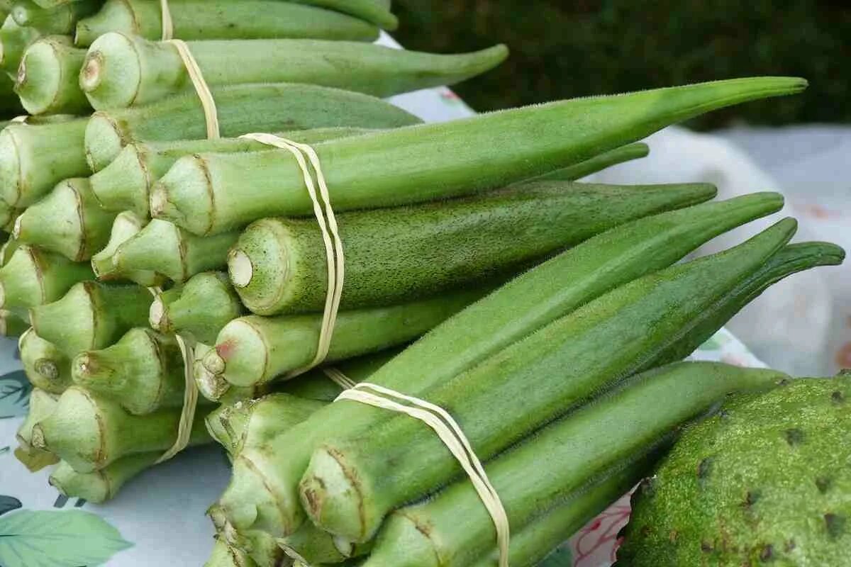 Овощ используемый в