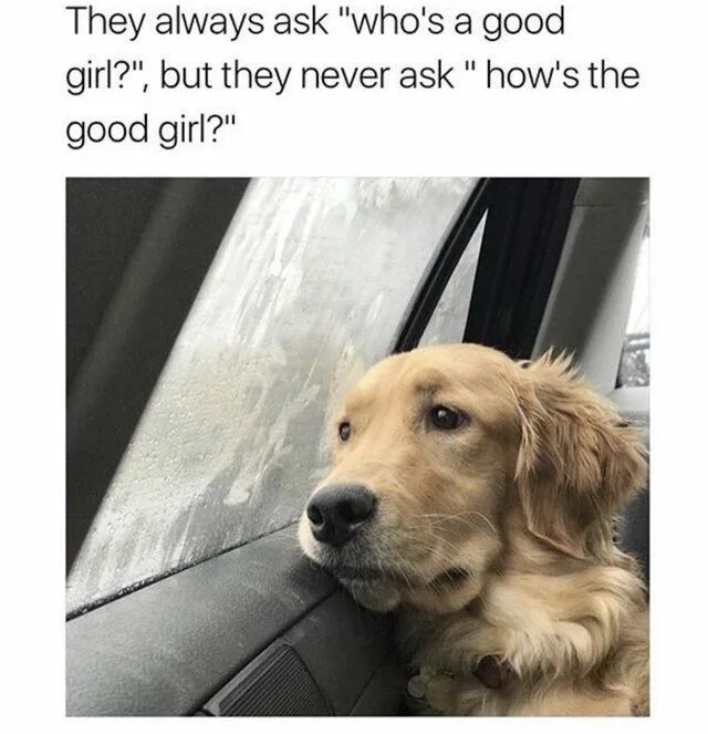 What is a good boy. Good boy мем. who is good boy meme. good boy перевод. sad dog meme.