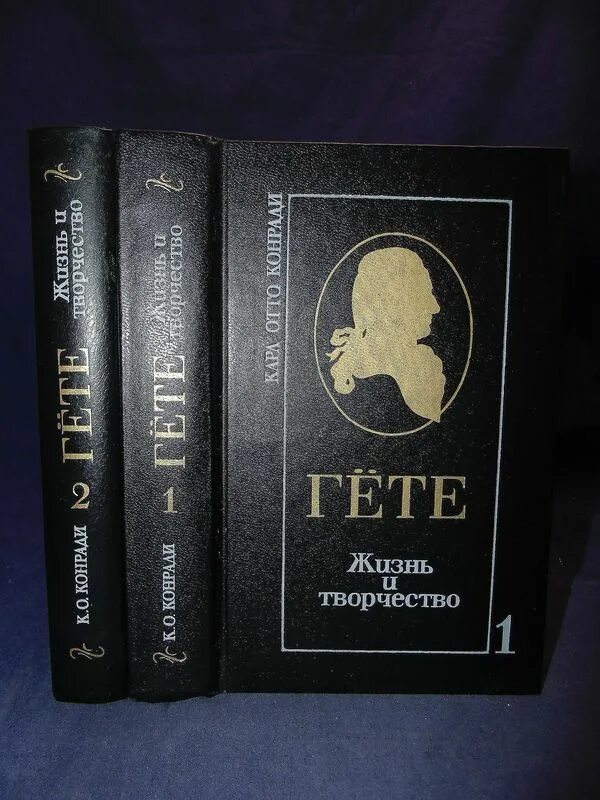 Гете том 2. Гете в 2 томах. Гете избранные произведения в 2 томах. Иоганн гете: собрание сочинений вита нова. Гете том 2.