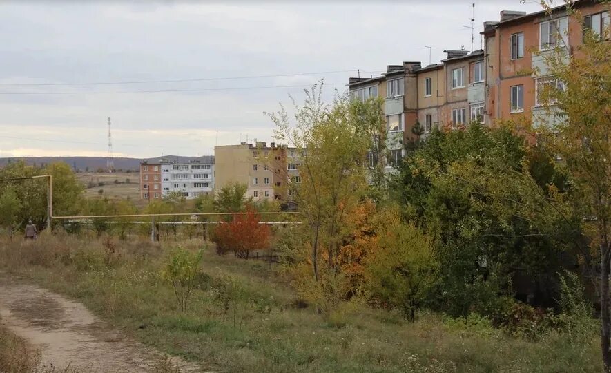 Жители Жасминки пожаловались Вячеславу Володину на транспорт и бродячих собак Но