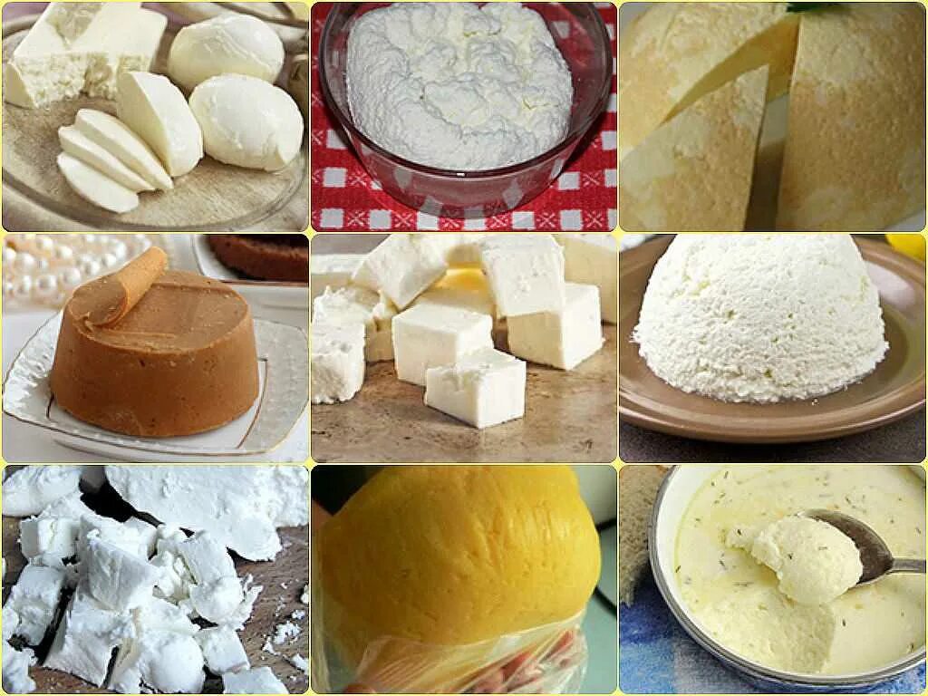 Рецепт изготовления сыра. Рецепт сыра из молока. Рецепт домашнего сыра из молока. Рецепты домашнего сыра из козьего молока. Рецепт изготовления сыра.