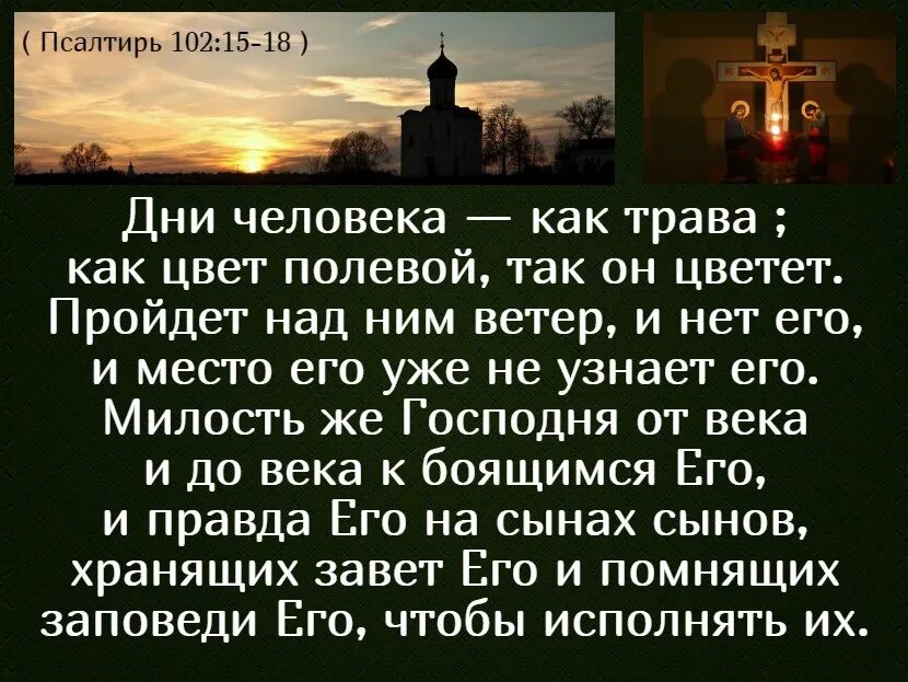 Благослови душа моя господь. Псалтирь 102 Псалом. Псалом Давида благослови душе моя Господа. Изречения из псалмов. Цитаты Псалтирь.